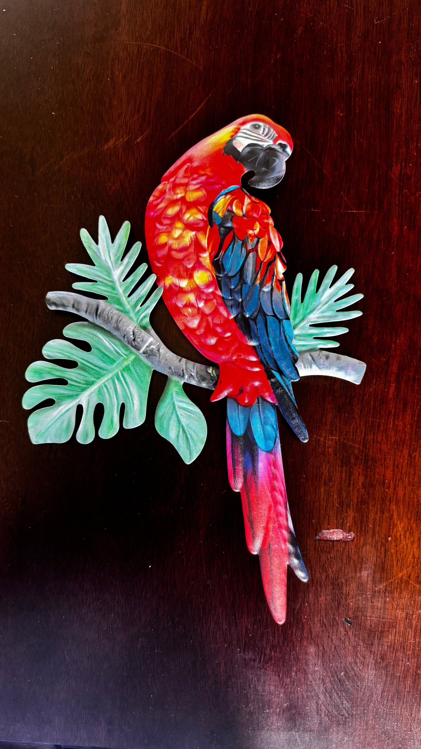 Aves Loro en metal pared