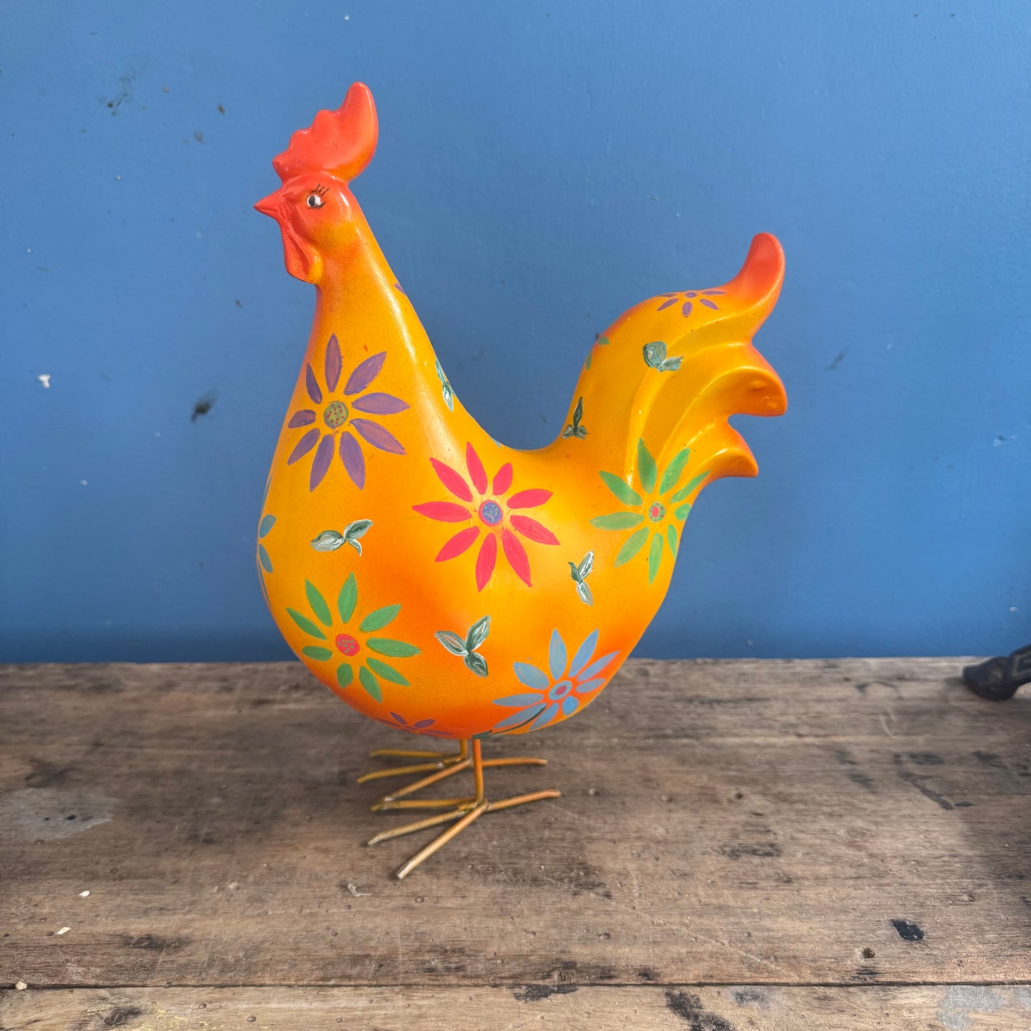 Gallo o gallina