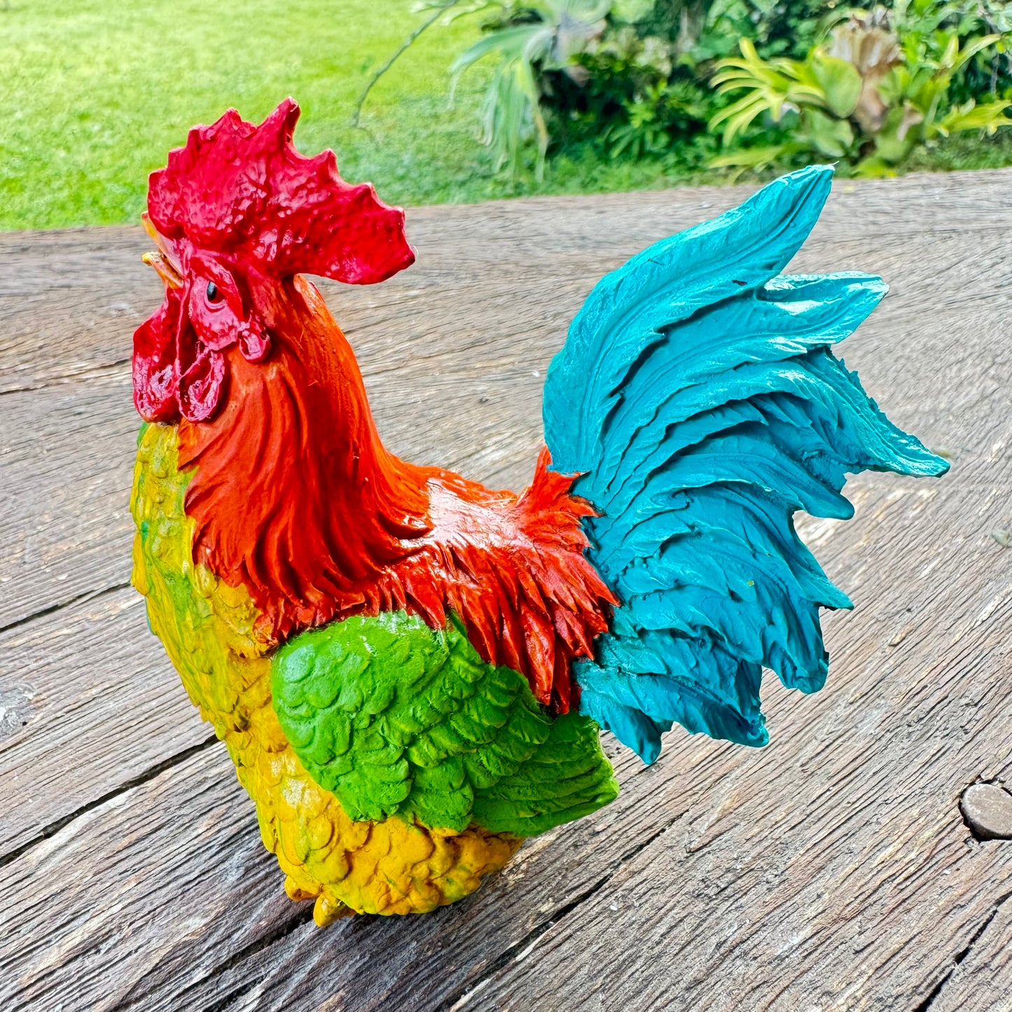 Gallo Peq