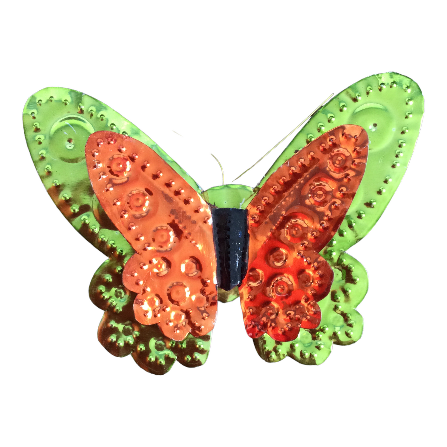 Mariposa hojalata #3