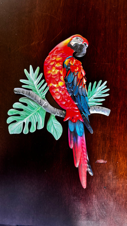 Aves Loro en metal pared