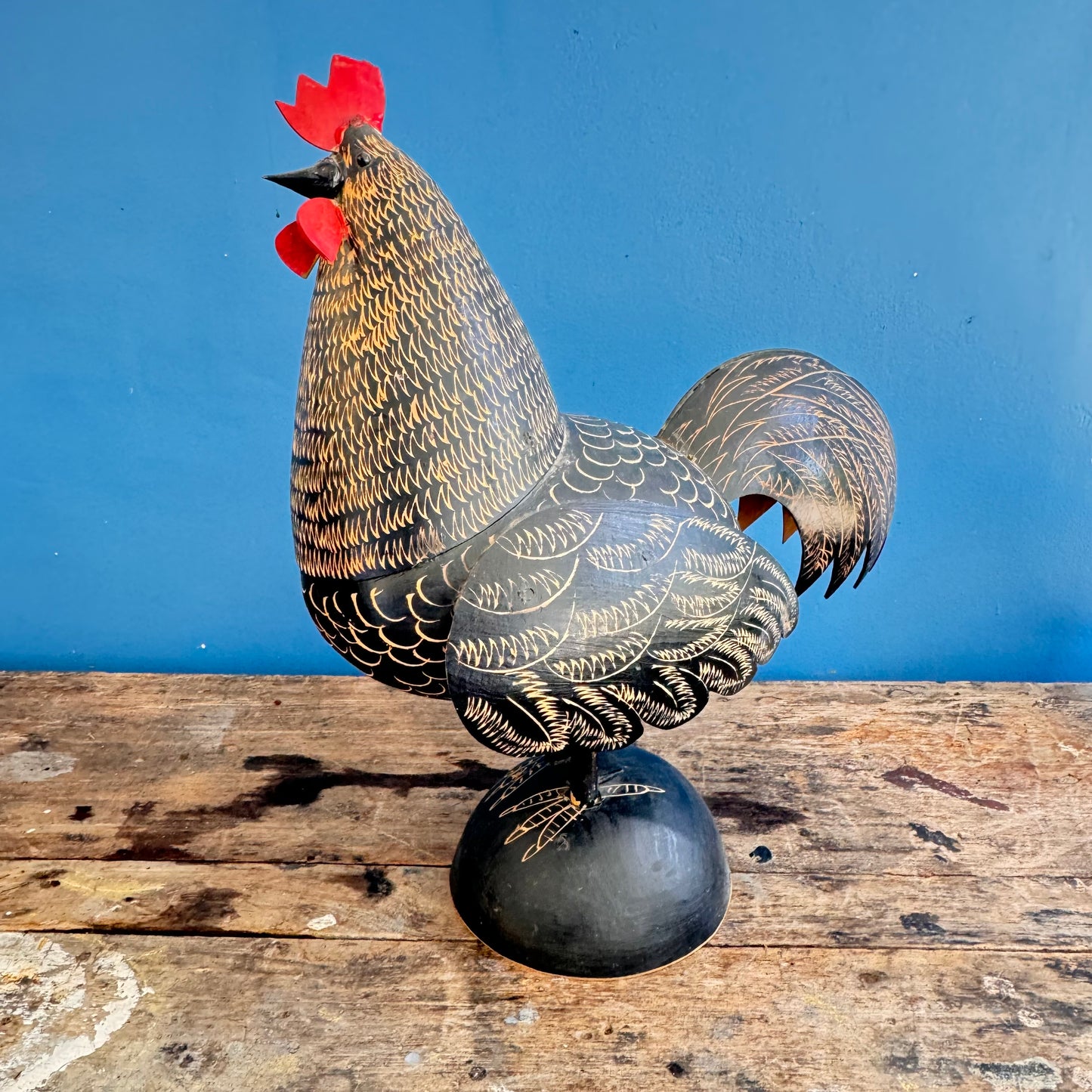 Gallo totumo