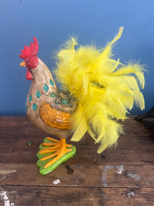 Gallo con cola de plumas