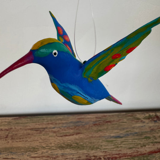 Colibri 10 x8