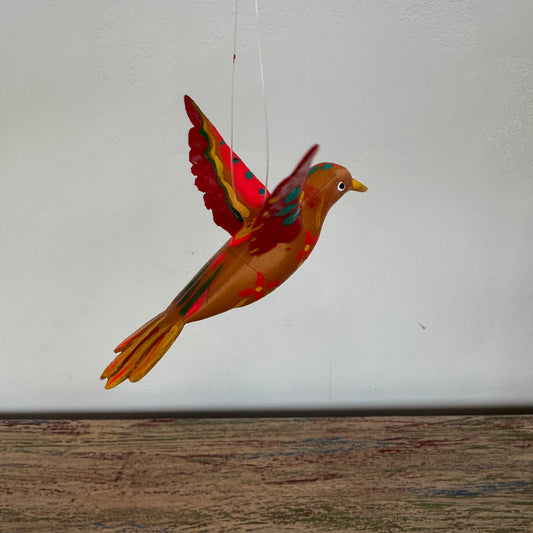 Colibri 10 x 8