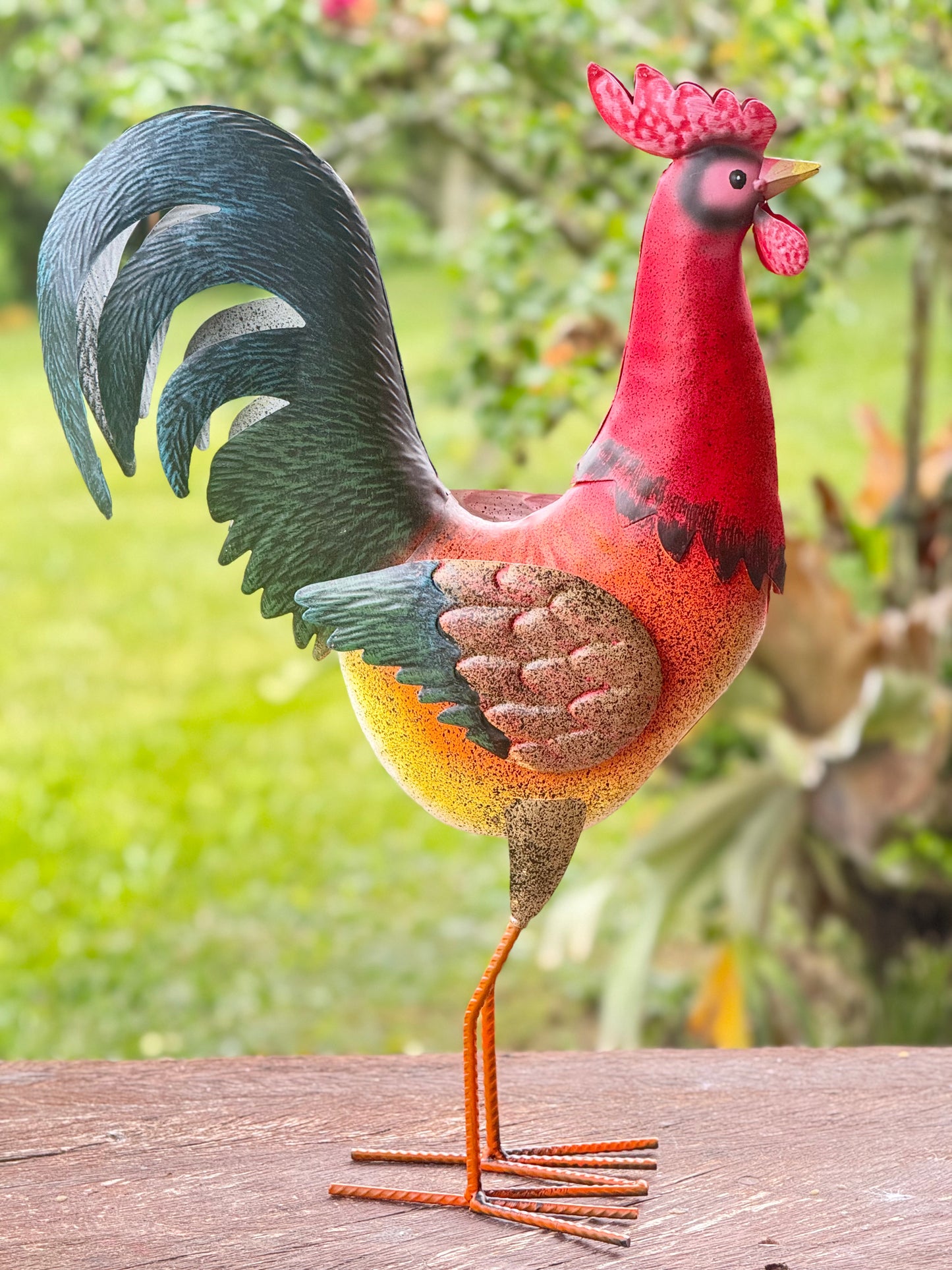 Gallo metálico alto 47 cm x 32