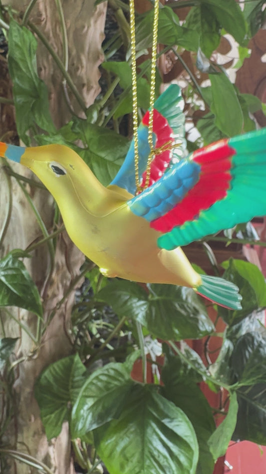 Colibri 11x10